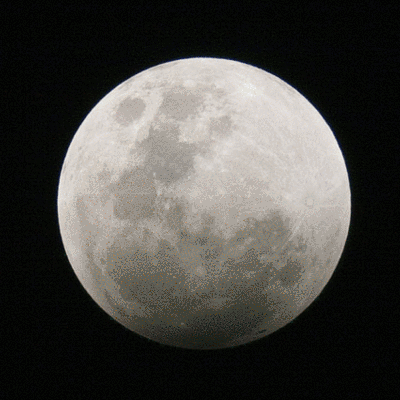 Timeline: Diego Emilio LA LUNA