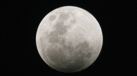 Timeline: Diego Emilio LA LUNA