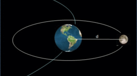 Timeline: Daniel La luna
