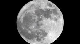 Timeline: luis la luna