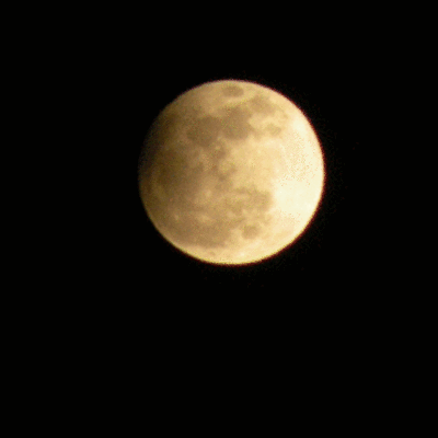 Timeline: LA RESURRECIION DE HUGO IS LIFE   LA LUNA