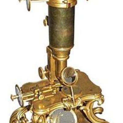 Timeline: Microscopio