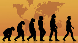Timeline: Evolución de los Homínidos