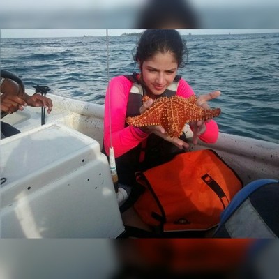 Timeline: Sucesos importantes en mi vida