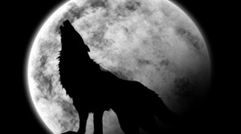 Timeline: roldantoalahernandez