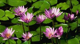 Timeline: mi biografia