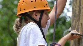 Timeline: My Timeline Mrs. Brown