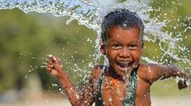 Timeline: Vidal Silva