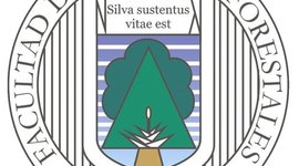 Timeline: Línea del Tiempo