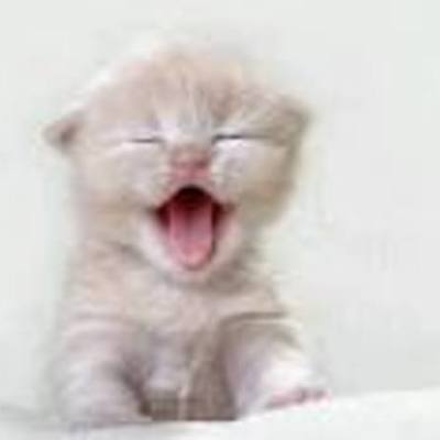 Timeline: tipos de música