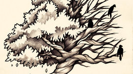 Timeline: Salud y enfermedad a través del tiempo