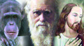 Timeline: Origen De La Vida