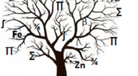 Timeline: Historia de la quimica