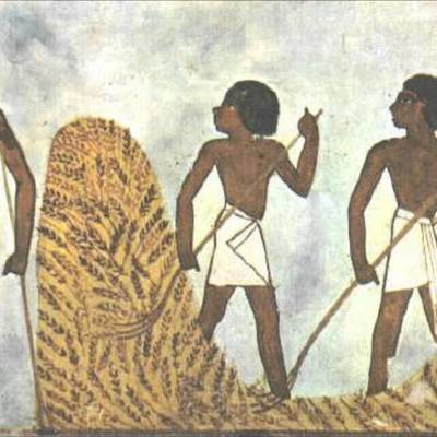 Timeline: História de las Funciones