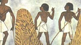 Timeline: História de las Funciones