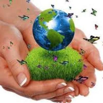 Timeline: Concepto de desarrollo sustentable