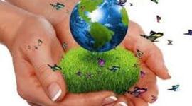 Timeline: Concepto de desarrollo sustentable