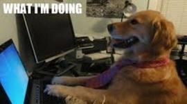 Timeline: Digital Time Line on Computers