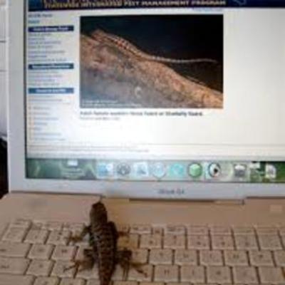 Timeline: Computer and Internet History with Tanner Dumas and Troy Anderson