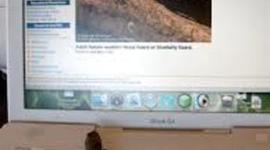 Timeline: Computer and Internet History with Tanner Dumas and Troy Anderson