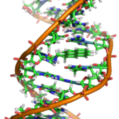 Timeline: Historia de la Biología: Todos los hombres que hicieron aportes importantes para la historia de la humanidad.