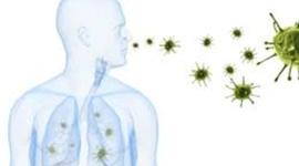 Timeline: Evolucion historica del concepto salud-enfermedad