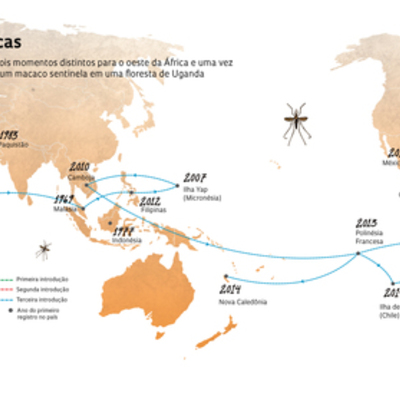 Timeline: Evolução do vírus Zika pelo mundo