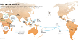 Timeline: Evolução do vírus Zika pelo mundo