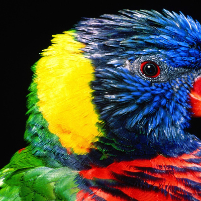 Timeline: Marcos da Fotografia Colorida