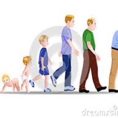 Timeline: Desarrollo del ser humano