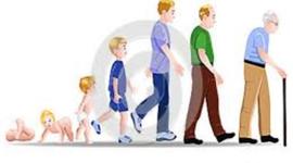 Timeline: Desarrollo del ser humano