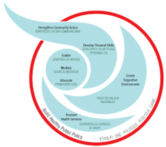 Proceso SaludEnfermedad timeline Timetoast timelines