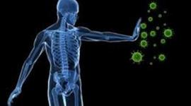 Timeline: Transformación de Conceptos de Salud y Enfermedad.