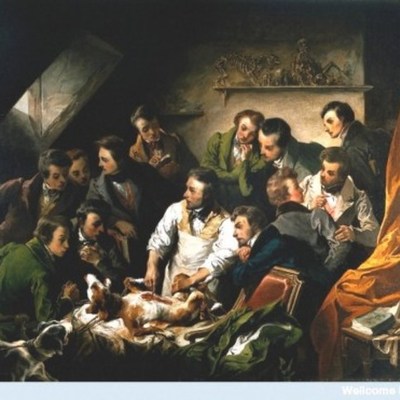 Timeline: Historia de la Medicina Veterinaria