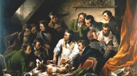 Timeline: Historia de la Medicina Veterinaria