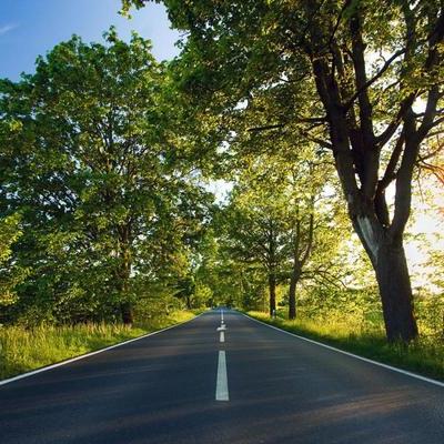 Timeline: Evolución de la Calidad