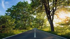 Timeline: Evolución de la Calidad