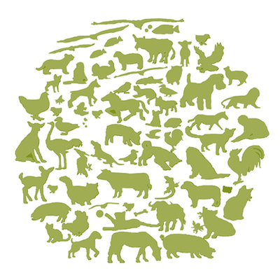 Timeline: Historia de la Medicina Veterinaria (Evidencia _01_E1)