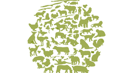 Timeline: Historia de la Medicina Veterinaria (Evidencia _01_E1)