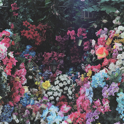 Timeline: Etapas y Evolución de la Calidad