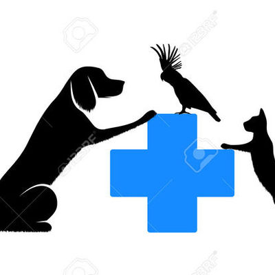 Timeline: Historia de la Medicina Veterinaria