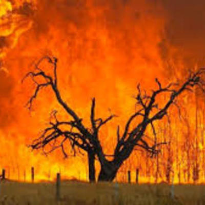 Timeline: Major Bushfires in Australia-Victoria state