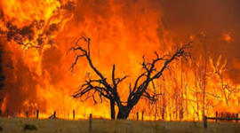 Timeline: Major Bushfires in Australia-Victoria state