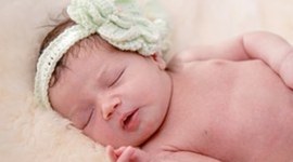 Timeline: Biografía