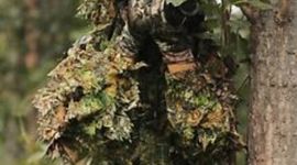 Timeline: History of Radio