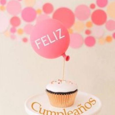 Timeline: m i  v i d a