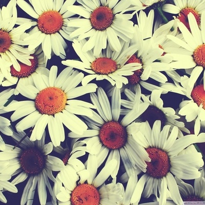 Timeline: daisy sevilla's timeline