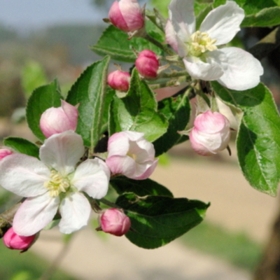 Timeline: Important Dates to Me