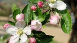 Timeline: Important Dates to Me