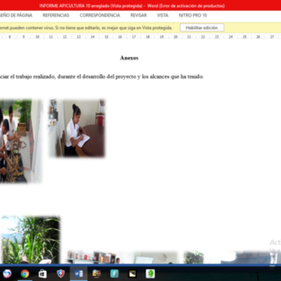 Timeline: EVIDENCIAS DEL PROYECTO DE APICULTURA 2016